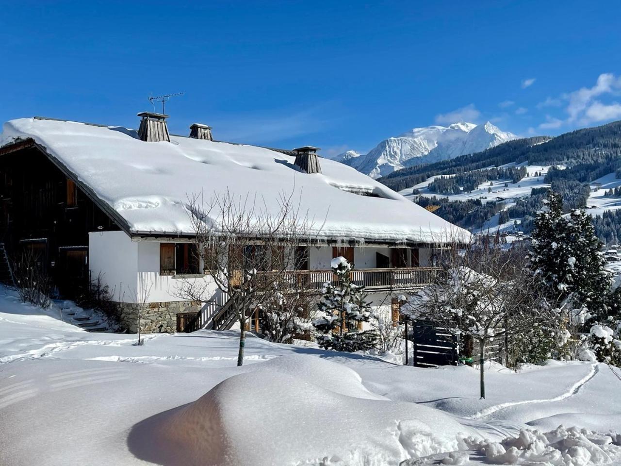 Chalet à Megève-Vauvray - Appartements tout confort, vue Mont Blanc Demi-Quartier Exterior foto