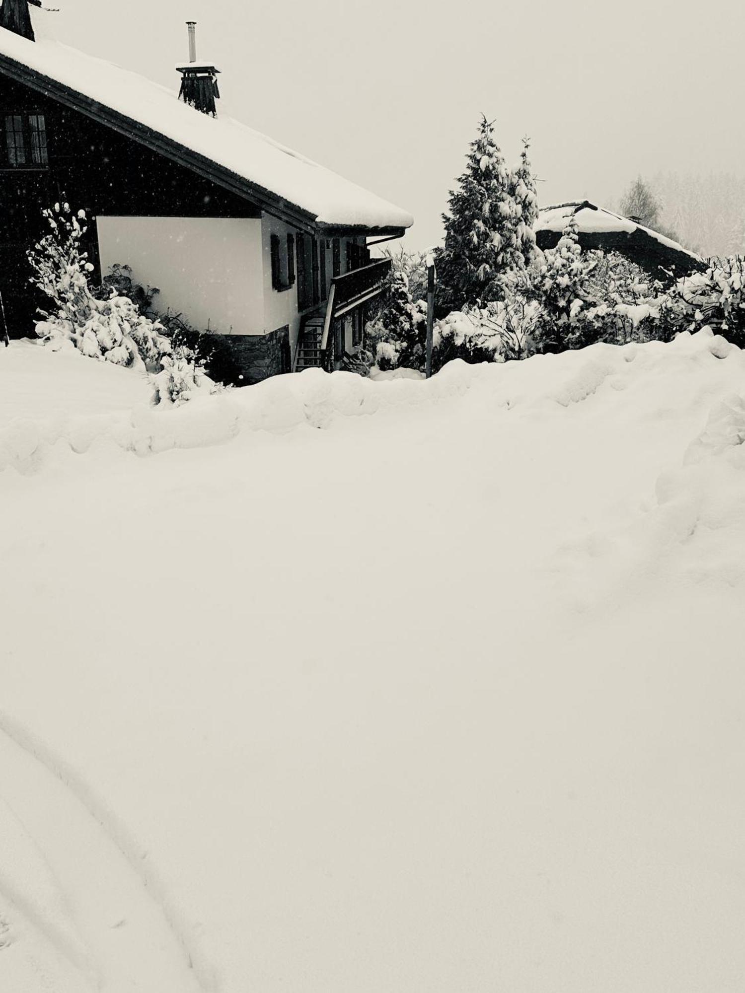 Chalet à Megève-Vauvray - Appartements tout confort, vue Mont Blanc Demi-Quartier Exterior foto